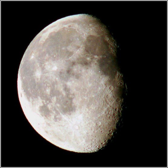 Миша Чансы | Владивосток