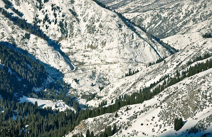 Ch Ru [Архив Данных] | 