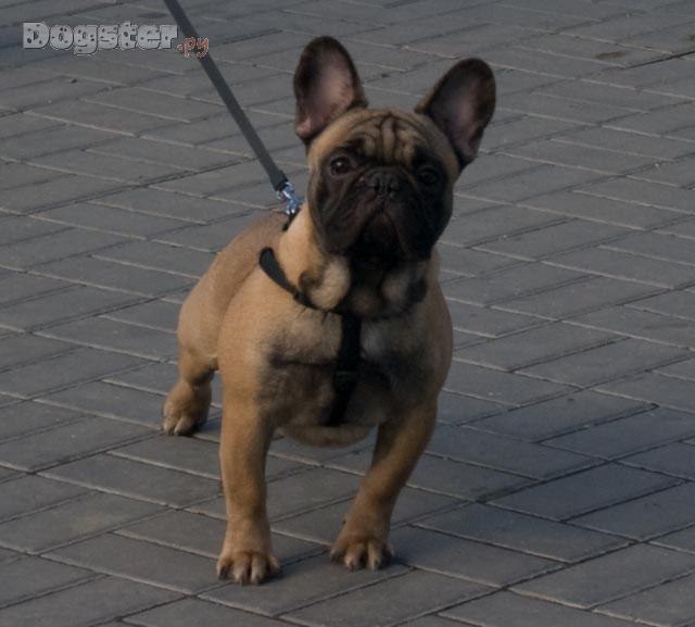 Льоха Гузій Русланович | 