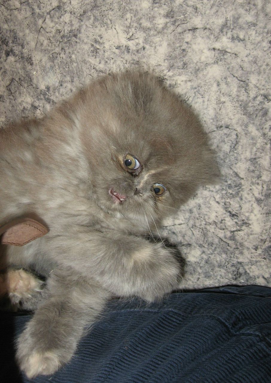 Татьяна Ханнанова | Ханты-Мансийск