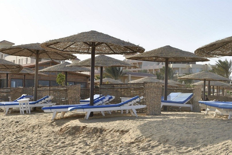 Альбина Анисимова | Волгодонск