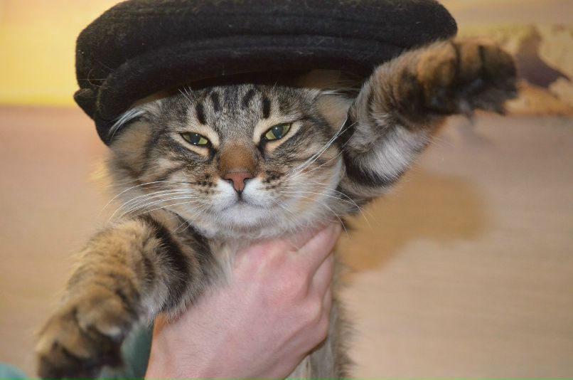 Анна Еремина | Курск