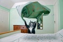 Фотография Бусарова Ивана
