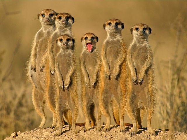 Денис Голощапов | Стерлитамак