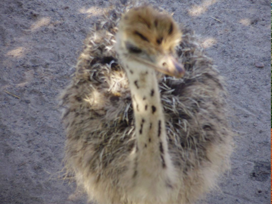 Наталья Дубнюк | Киев