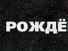 Александр Витук | Омск