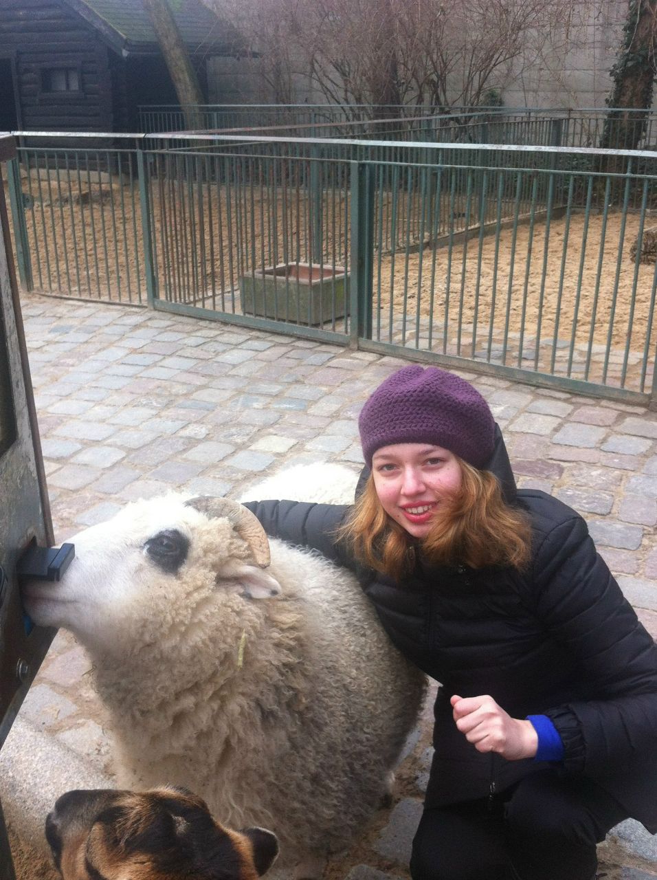 Дария Волынская | 