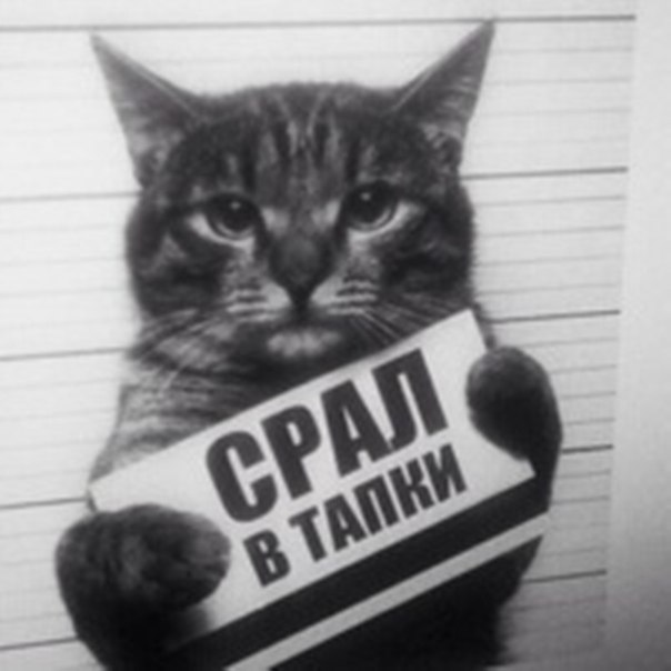 Михаил Хамитов, Россия, Москва