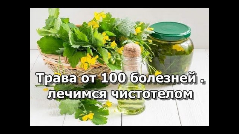Трава от 100 болезней ... лечимся чистотелом