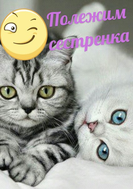 Дизара Ибраева, Казахстан, Темиртау