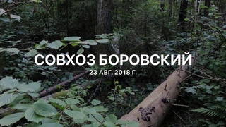 Щенок Синцова Максима