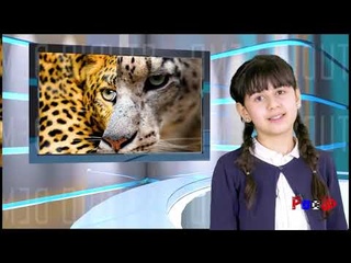 Новости с колес Подведение итогов предметной недели химии и биологии
