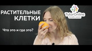 Ботаника | Растительная клетка