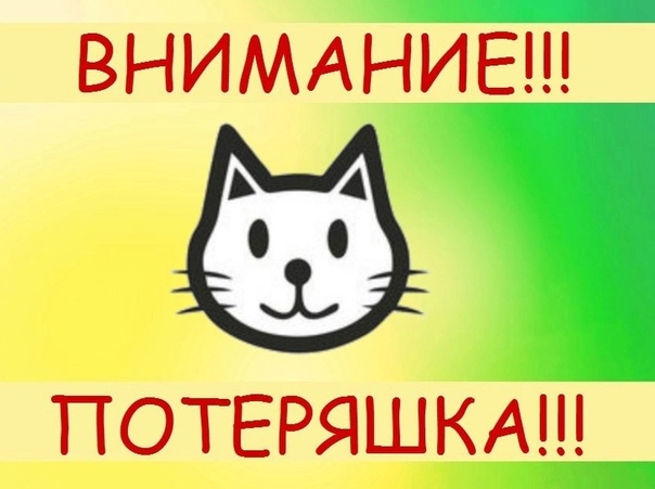 Потеряшки смешные картинки