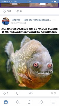 Наталия Кузина