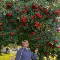 Ирина Родионова