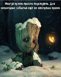 Алексей Кривощеков