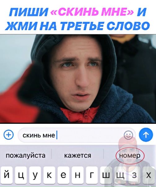 Номер литвина