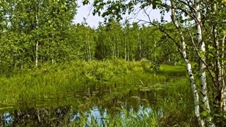 Валентина Рябкова - Песня о Родине