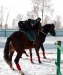 Вадим Ратников фотография #5