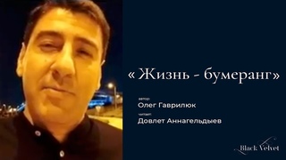 Жизнь - бумеранг | Автор стихотворения: Олег Гаврилюк