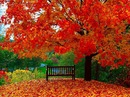 Фотография Комарова Дениса