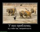 Фотография Антон Блинков