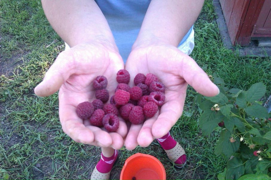 №5, Андрей Приходько, 02.03.1986, Киев №5, Андрей Приходько, 02.03.1986, Киев