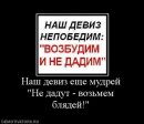 Фотография Сорокина Юры
