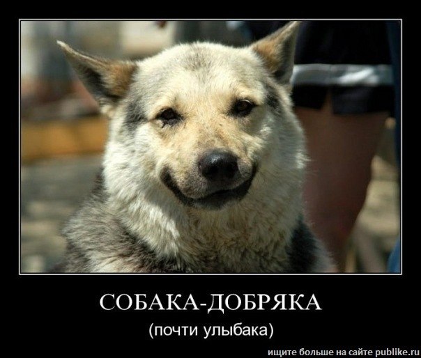 Анастасия Калинина | 