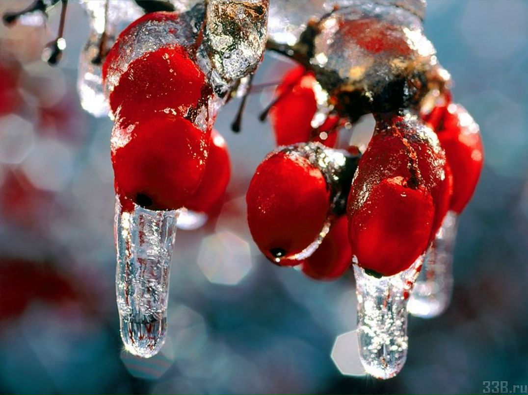 Елена Емельянова | 