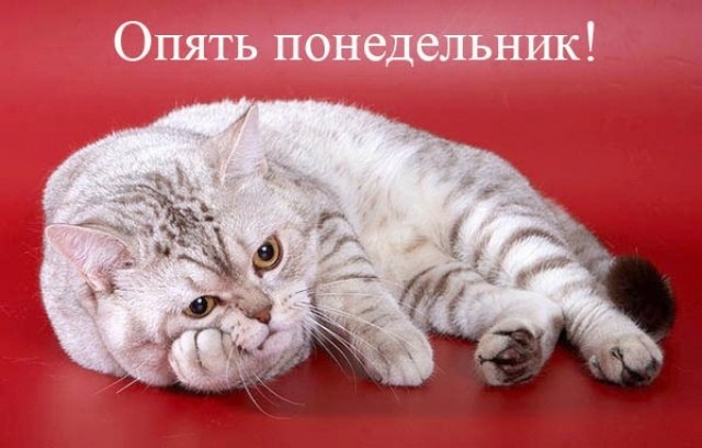 Наталья Карпова | Санкт-Петербург