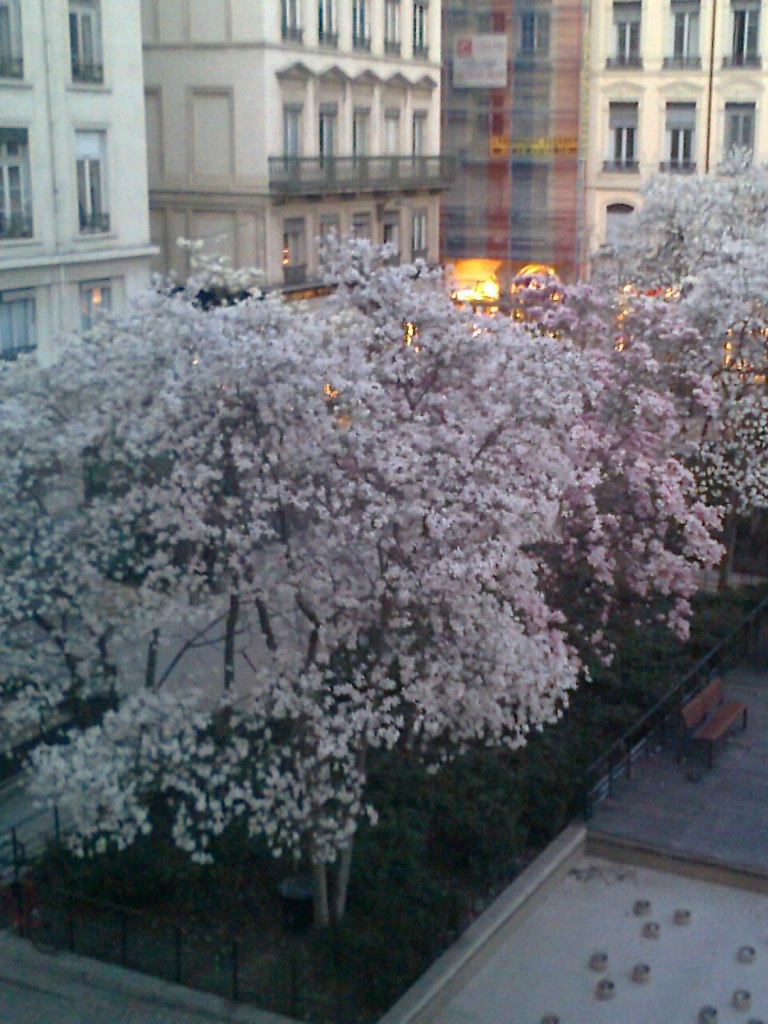 Татьяна Рассказова | Санкт-Петербург