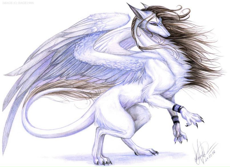 Dimon Zaspenko Andreyevna | 