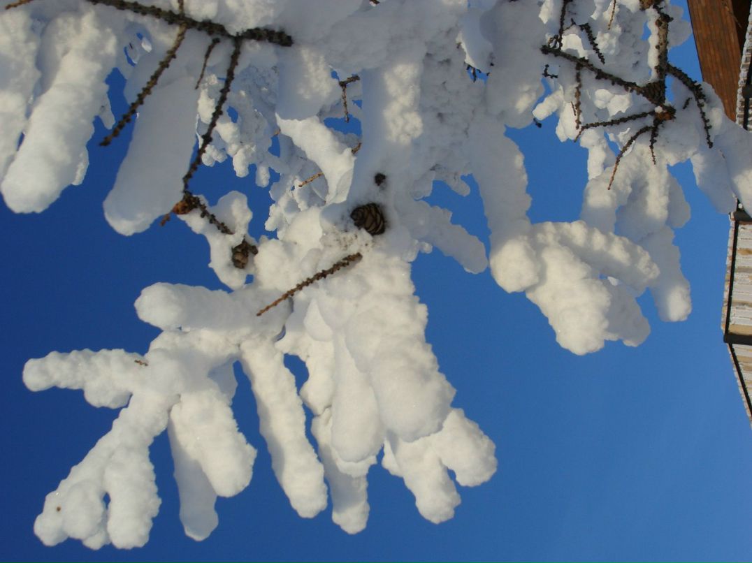 Родион Андрианов Родя | Челябинск