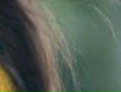 Игорь Баев | Петрозаводск