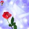Аватар: Танюшка Литвин