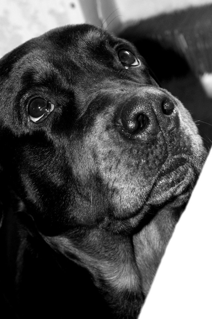 Olesya Lesenok | Нижний Новгород