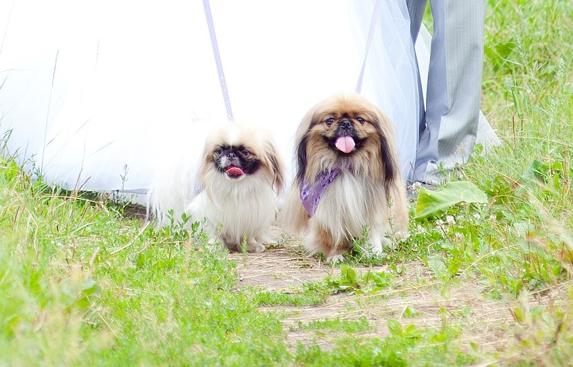 Зоя Иванова | Омск