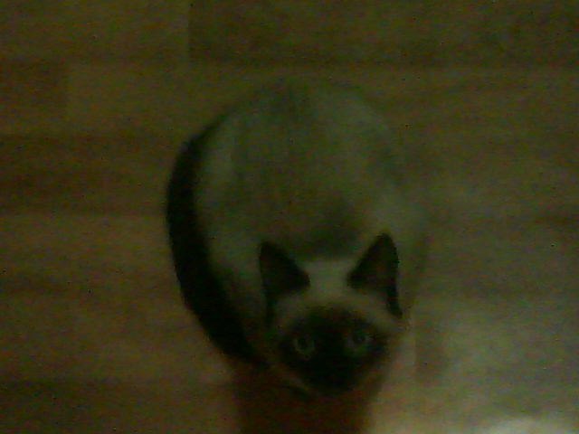 Мария Ткачёва | Казань