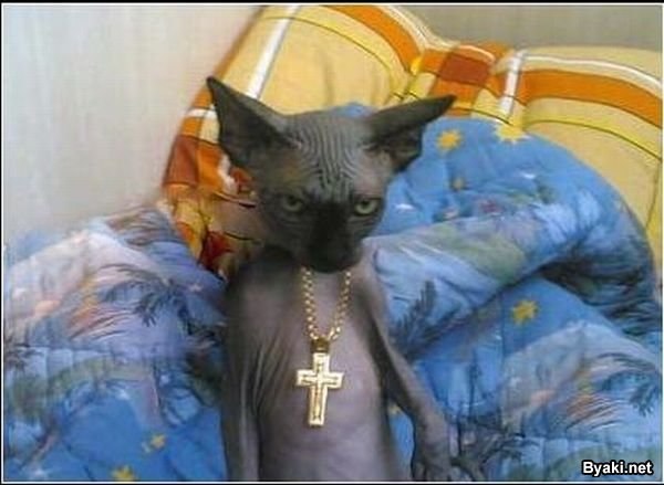 Сергей Маснюк Владимирович | Одесса