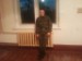 Александр Мочалов фотография #7