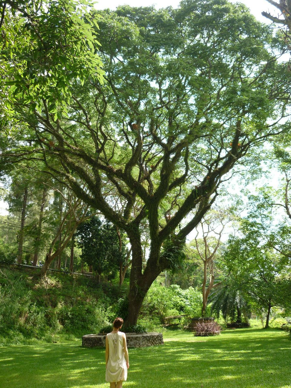 Алёна Сальникова | 