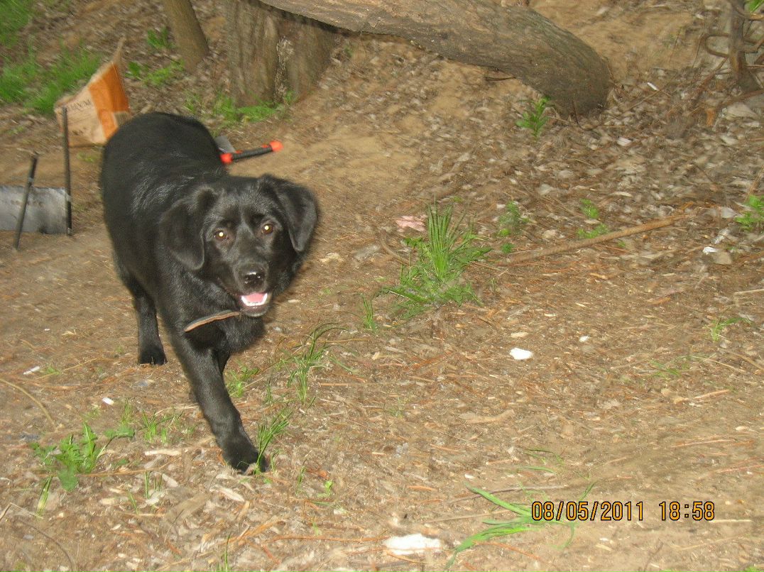 Света Мещерякова | Москва