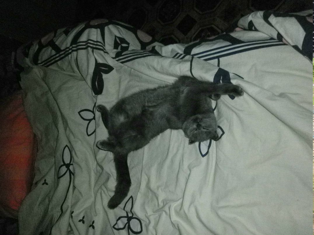 Евгения Латышева | Омск