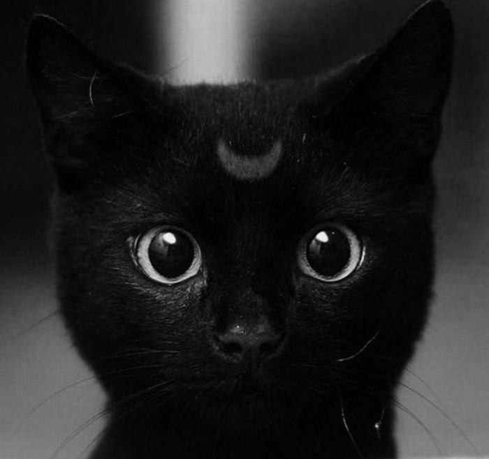 Анастасия Репина FOR THE HORDE! | Днепр (Днепропетровск)