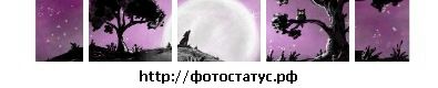 Фотография Татьяна Кирина