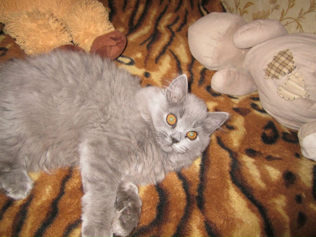 Юлия Осьминкина | Москва