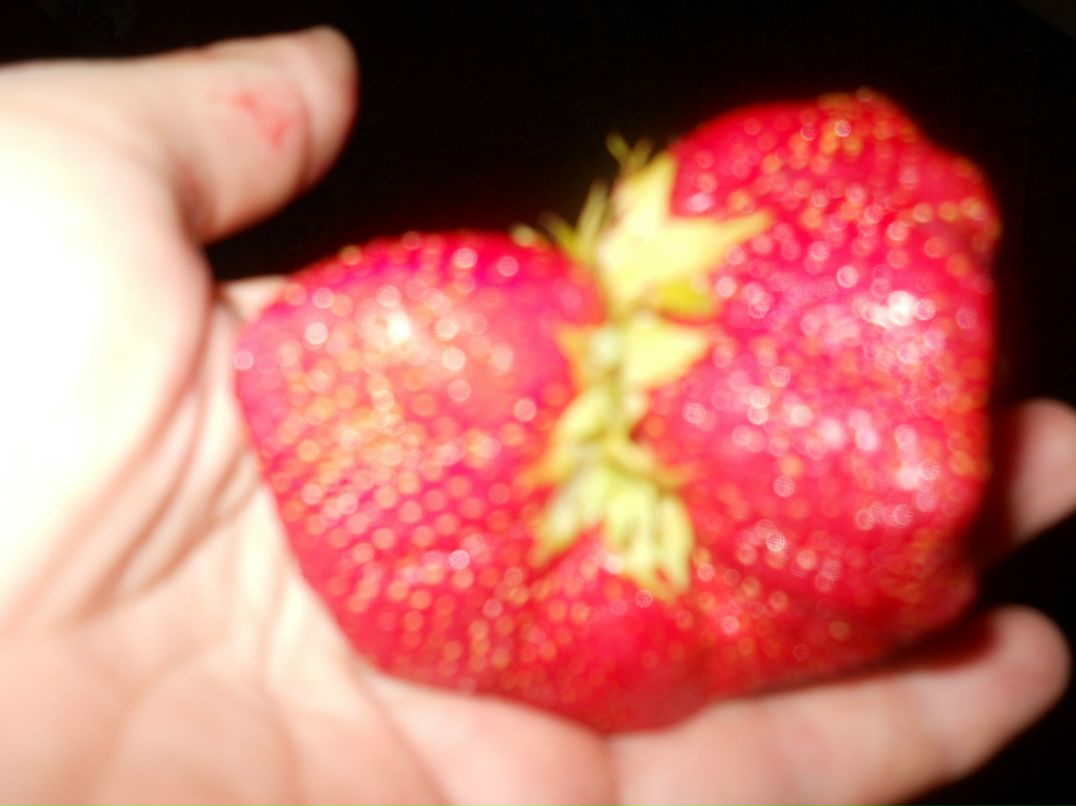 Элина Светлова | Санкт-Петербург