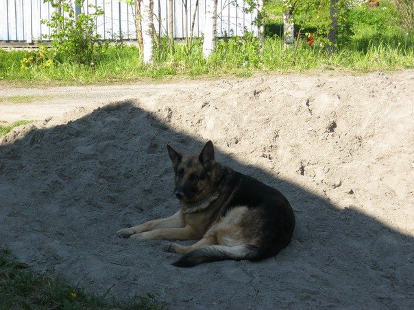 №19, Наталья Озерцова, 57 лет, Кондопога, Россия №19, Наталья Озерцова, 57 лет, Кондопога, Россия